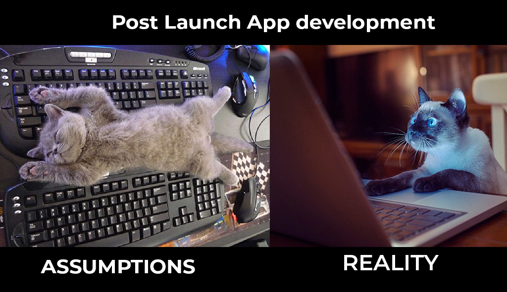 APP-DEVELOPMENT-Assumption vs Reality