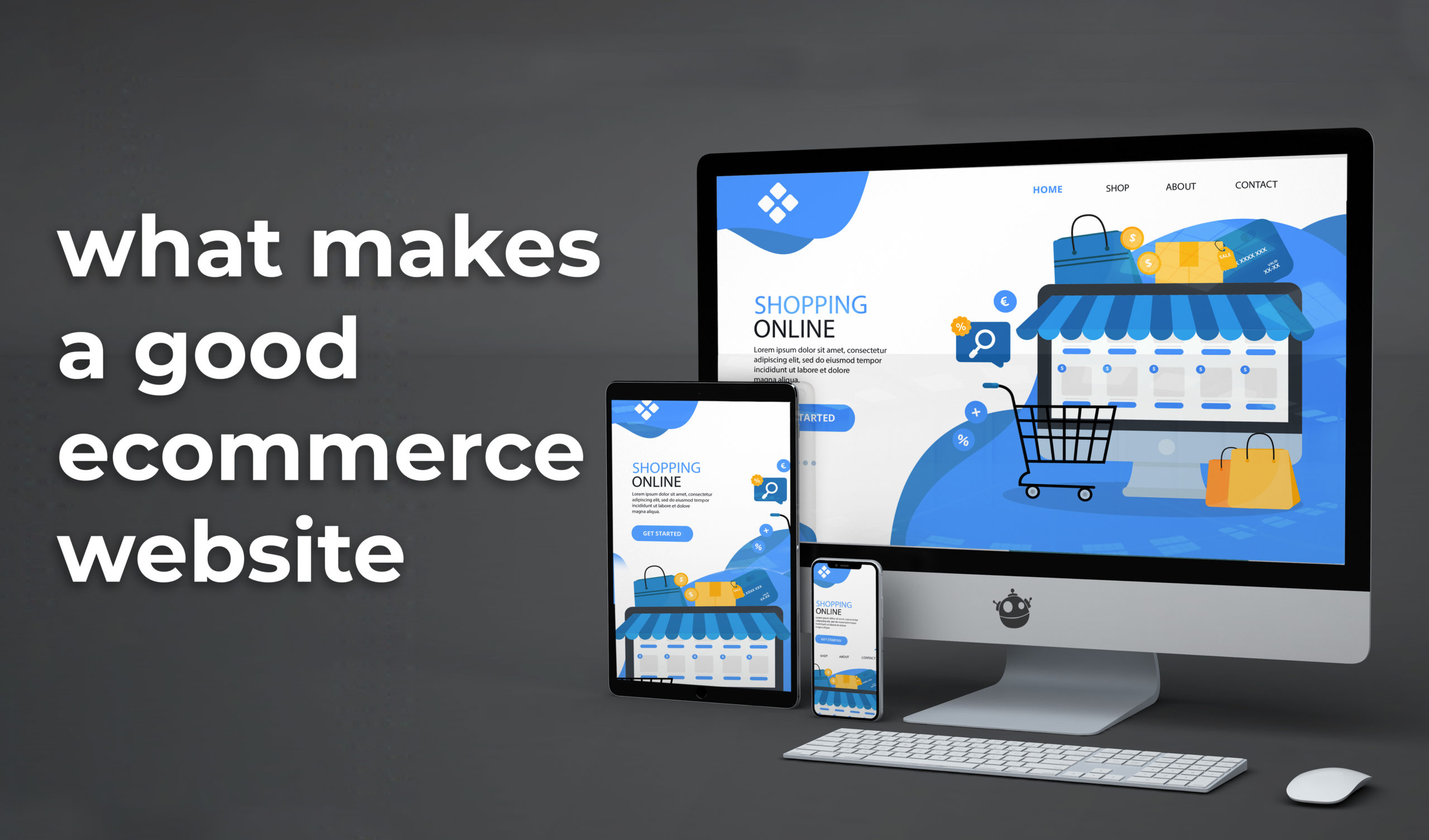 What are the Elements Present in a Good Ecommerce Website?